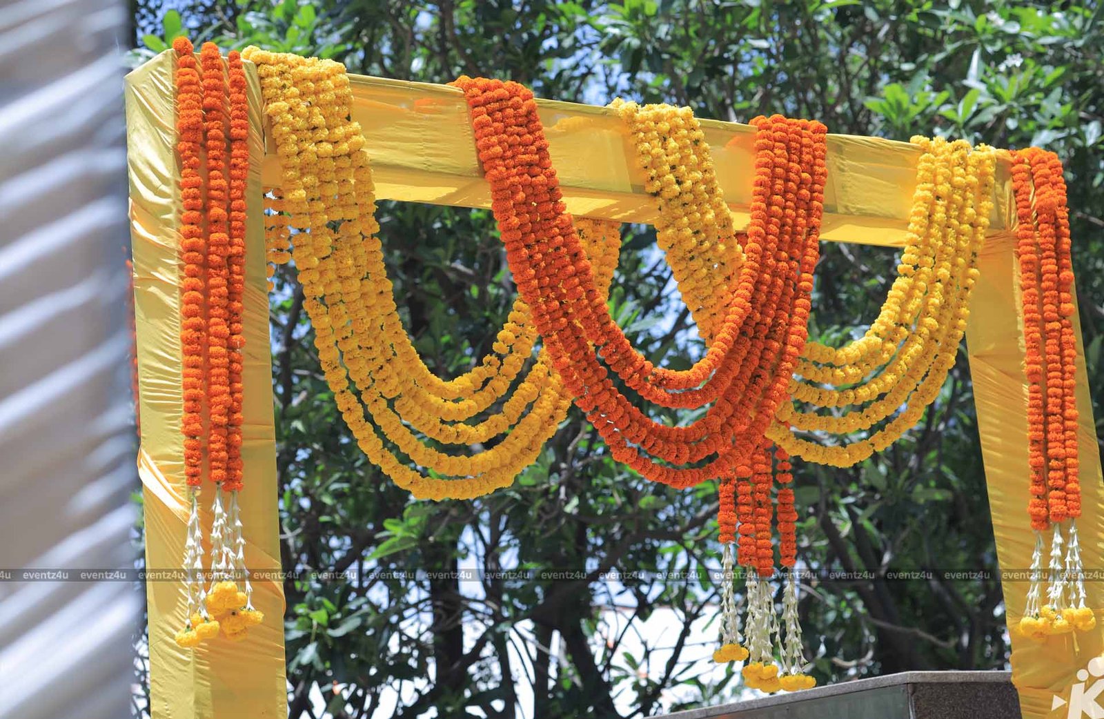 Abhay & Megha